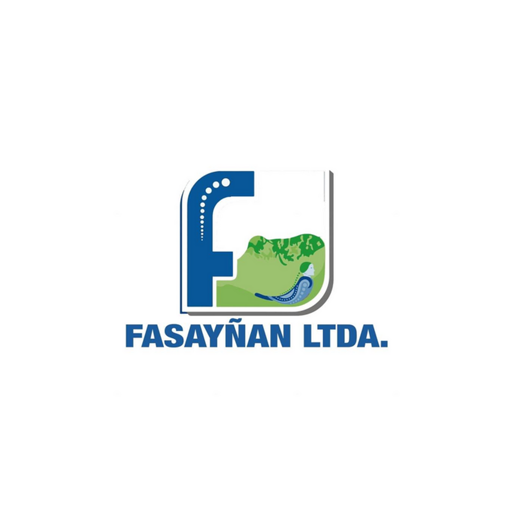 fasaynan_carrusel_1024x1024